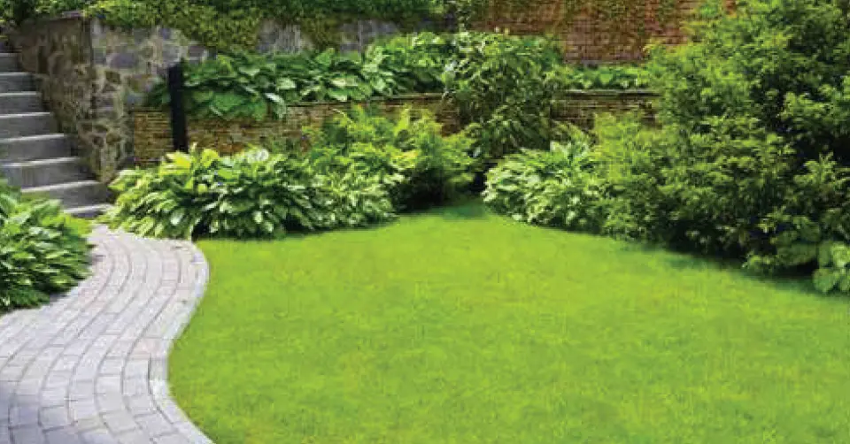 sheth vasant lawns, majiwada, thane.